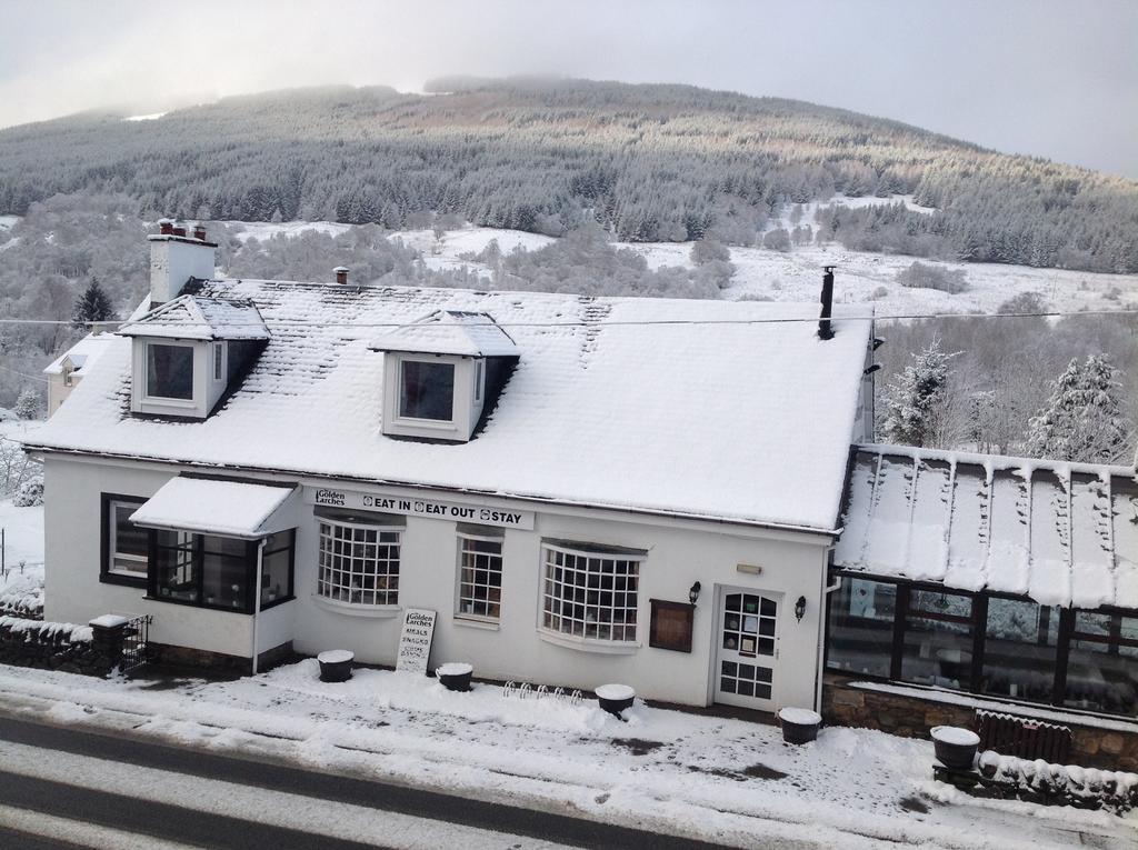 Bed and Breakfast The Golden Larches Lochearnhead Zewnętrze zdjęcie